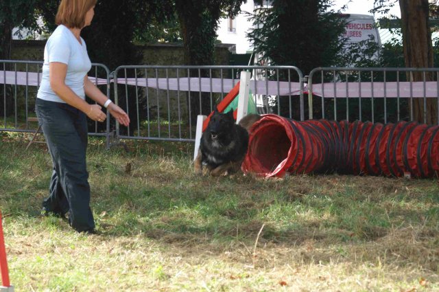foire-haricots 2011-09-17et18
